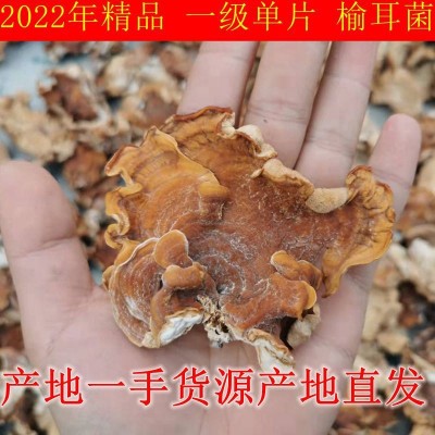 精选干榆耳菌鹿肝菌灵芝菇牛肚菌鹿肝菌肉厚酒店私房菜素食食用菌