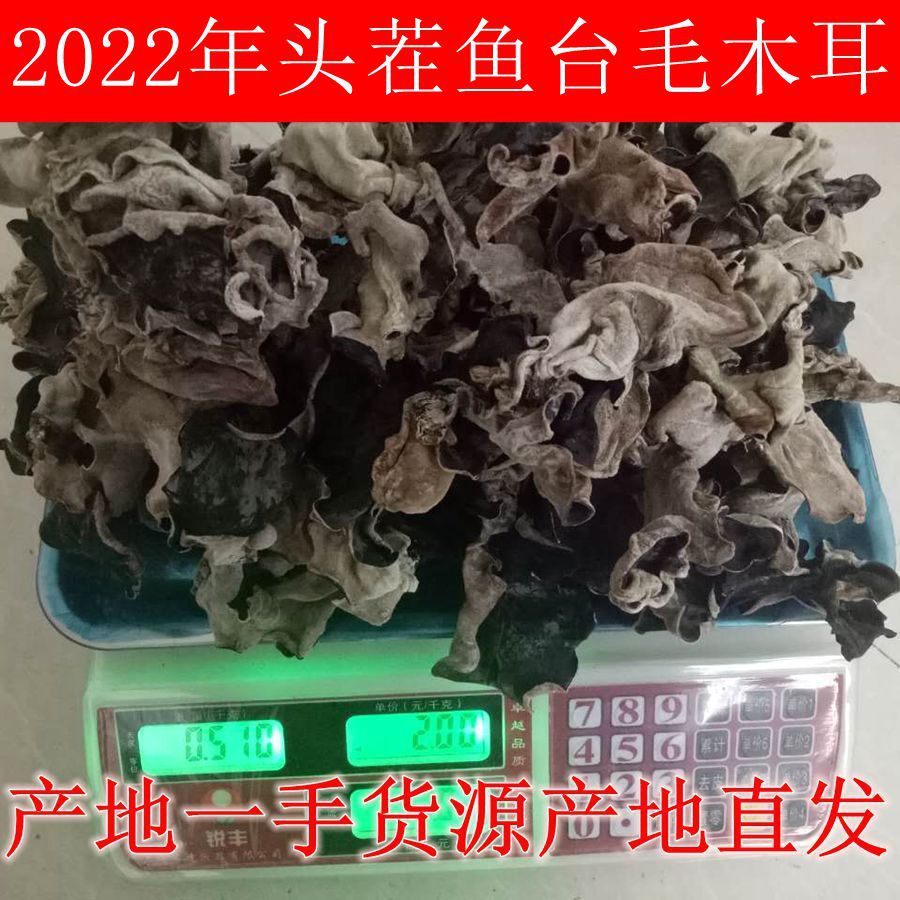 O1CN01GJ9J8i2B3CwKhDDex_!!2212
