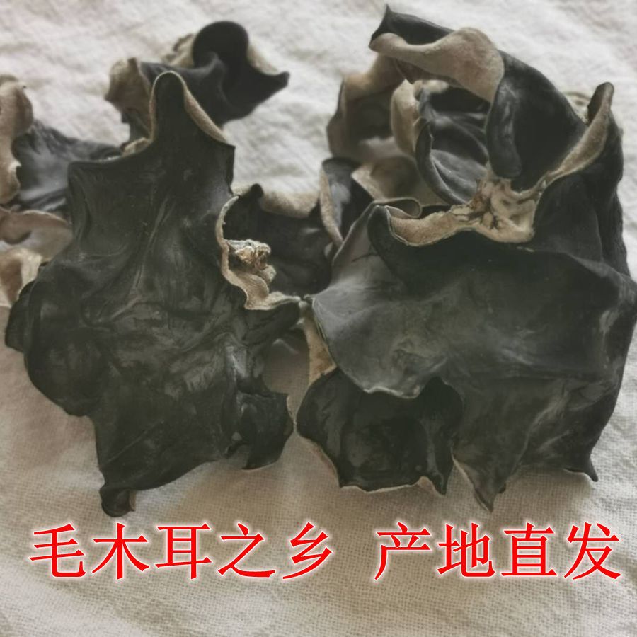 微信图片_20200517092923_副本