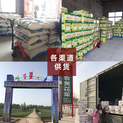 新黄花菜干货金针菜忘忧草直条黄花菜产地厂家现货批发图5