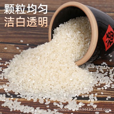 新米原生态虾田大米初级打磨米粒均匀洁白批发年货大米图3