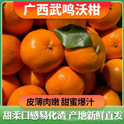 广西武鸣沃柑9斤整箱皇帝沙糖蜜橘桔子橘子当季水果批发一件代发图1
