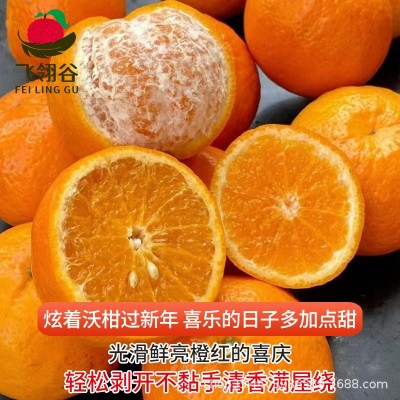 广西武鸣沃柑9斤整箱皇帝沙糖蜜橘桔子橘子当季水果批发一件代发图3