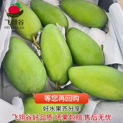 越南大青芒金煌芒应季孕妇水果大脸芒果热带精品水果批发一件代发图4