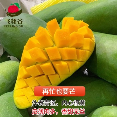越南大青芒金煌芒应季孕妇水果大脸芒果热带精品水果批发一件代发图3