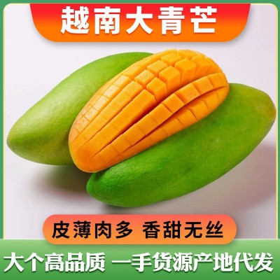 越南大青芒金煌芒应季孕妇水果大脸芒果热带精品水果批发一件代发图1