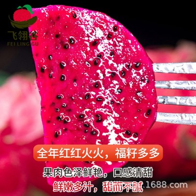 严选金都一号红心火龙果新鲜整箱特大火龙果孕妇水果批发一件代发图3