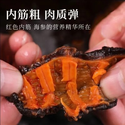 即食海参礼盒工厂代发冰岛即食红极参厂家批发即食海参500g/袋