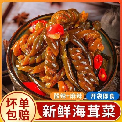 【工厂直供】青岛海带即食酸辣海茸酸辣海带凉拌菜批发下酒小凉菜图1