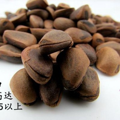 东北特产野生大松子厂家直销 非油炸人工开口 熟原味坚果炒货孕妇图4