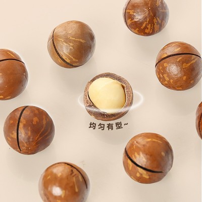 厂家批发新货夏威夷果大颗粒奶香味壳薄易剥500g坚果炒货零食年货图3