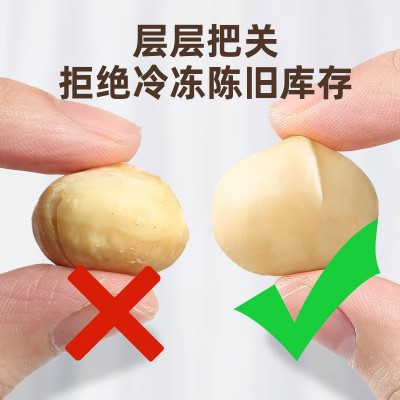 厂家批发新货夏威夷果大颗粒奶香味壳薄易剥500g坚果炒货零食年货图5