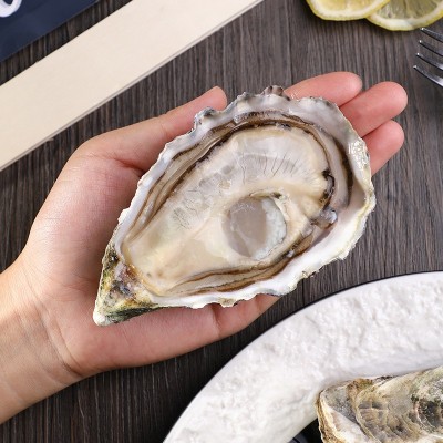 吉拉多法国进口生蚝产地批发海鲜鲜活生蚝大量批发水产大生蚝即食图5