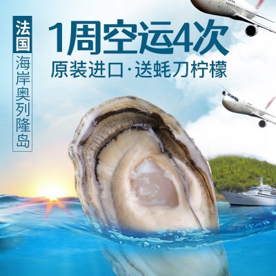 12粒装法国进口吉拉多生蚝产地批发水产海鲜活大生蚝诚招分销代发图2