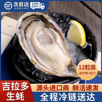 12粒装法国进口吉拉多生蚝产地批发水产海鲜活大生蚝诚招分销代发图1