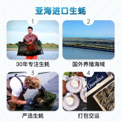 12粒装法国进口吉拉多生蚝产地批发水产海鲜活大生蚝诚招分销代发图3