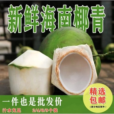 椰青海南椰青去皮新鲜椰子海南文昌现摘孕妇水果2/9个装代发免邮图3