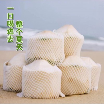 椰青海南椰青去皮新鲜椰子海南文昌现摘孕妇水果2/9个装代发免邮图1