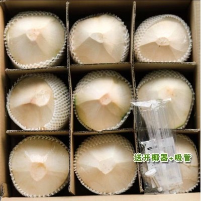 椰青海南椰青去皮新鲜椰子海南文昌现摘孕妇水果2/9个装代发免邮图2