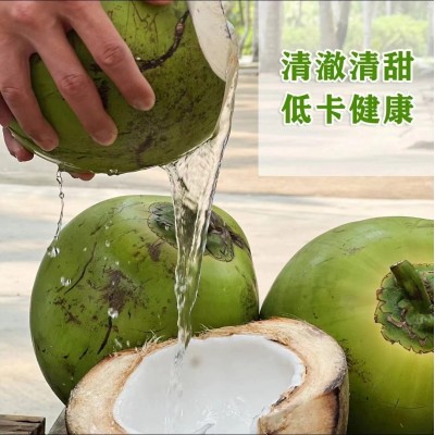 海南椰青新鲜海南椰子4-6斤椰子批发厂家现摘现发免邮 整车代发图1
