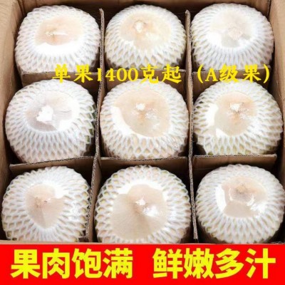 椰青海南椰青去皮新鲜椰子海南文昌现摘青椰果王好果整箱代发免邮图2