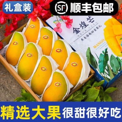 海南金煌芒 水仙芒一件代发顺丰免邮 海南芒果整车代发有 自己果园图5