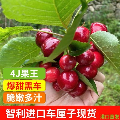 现货智利进口车厘子整箱新鲜大樱桃黑珍珠桑提娜孕妇水果顺 丰空运图3