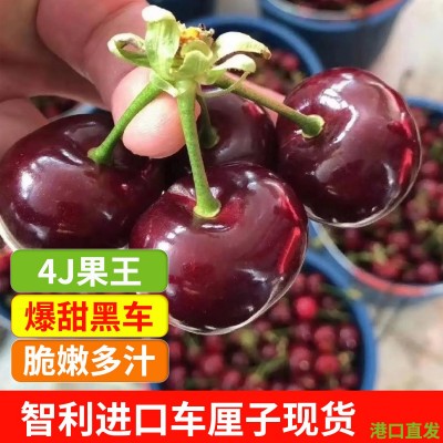 现货智利进口车厘子整箱新鲜大樱桃黑珍珠桑提娜孕妇水果顺 丰空运图5