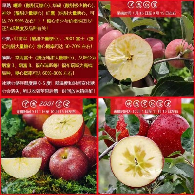 正宗云南昭通丑苹果冰糖心新鲜水果直发当季整箱包邮10斤产地批发图5