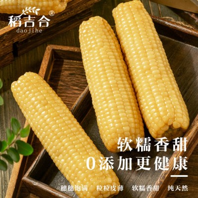 东北白糯玉米软糯香甜真空包装原产地直采厂家批发图4