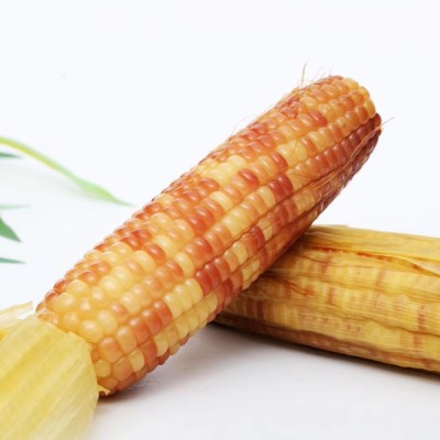 云南西双版纳香糯小玉米香甜软糯 四季种植真空包装锁鲜厂家直发图5