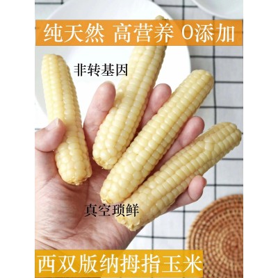 云南西双版纳拇指小玉米真空锁鲜源头工厂直发图4
