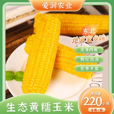 黄糯玉米8支装生态甜糯玉米真空包装代餐食品苞米代发包邮图5