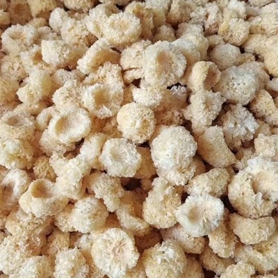 古田椴木银耳干货批发椴木小银耳产地直发本草银耳糯耳雪耳3-6cm图2