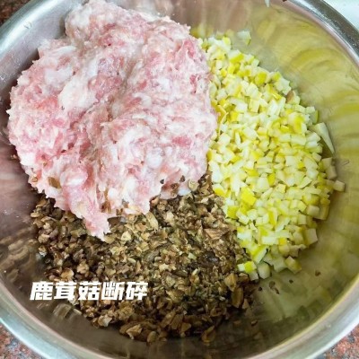 鹿茸菇断碎帽 鹿茸菌 食用菌干货批发 蘑菇 包饺子肉馅用 脆脆菇图3