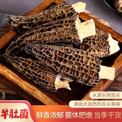 干羊肚菌人工云南食用菌羊肚菌干货散装菌菇干品煲汤食材直销批发