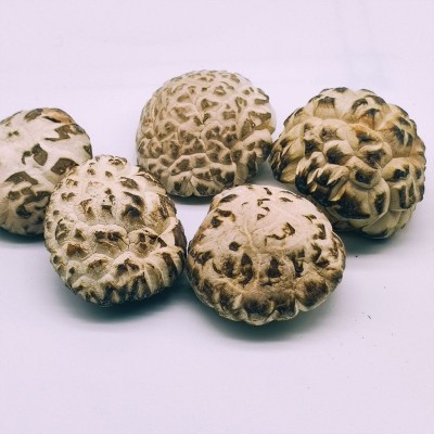 湖北随州特产白花菇干2-2.7cm商用食用菌香菇干营养菌菇蘑菇批发图2
