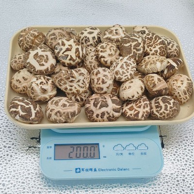 湖北随州特产白花菇干2-2.7cm商用食用菌香菇干营养菌菇蘑菇批发图4