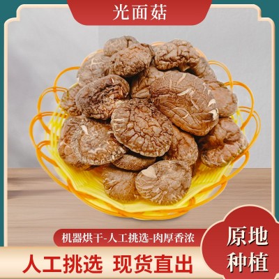 湖北随州农产品光面菇滋补煲汤香菇干货2.7-5cm食用菌菇产地直发