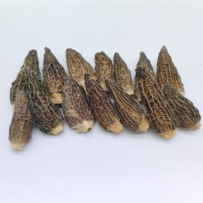 随州特产羊肚菌干货5-7CM煲汤食材食用菌袋装散装蘑菇干批发