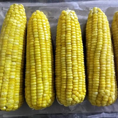 玉米棒糯玉米整箱速冻东北甜糯黄玉米棒花玉米棒速冻黏苞米图4