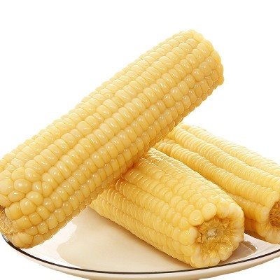 香糯白玉米真空即食包装甜新鲜糯玉米棒子代餐粘玉米电商一件代发