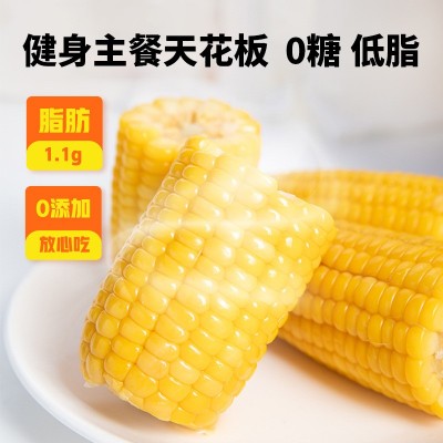 黄糯玉米真空装即食甜糯玉米代餐香糯玉米棒子当季新鲜一件代发图3