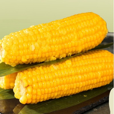 黄糯玉米真空装即食甜糯玉米代餐香糯玉米棒子当季新鲜一件代发图4