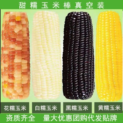糯玉米香糯玉米棒子即食批发代餐真空装整箱10根甜玉米一件代发图5