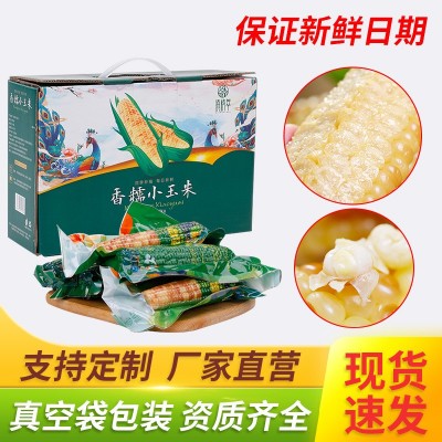云南香糯小玉米西双版纳品种甜糯玉米真空甜玉米棒粗粮即食玉米图5