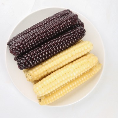 云南西双版纳拇指小玉米香甜软糯鲜真空包装白糯玉米即食代餐粗粮