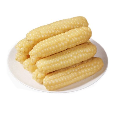 云南西双版纳拇指玉米即食香糯小手指白糯玉米新鲜现摘儿童玉米棒