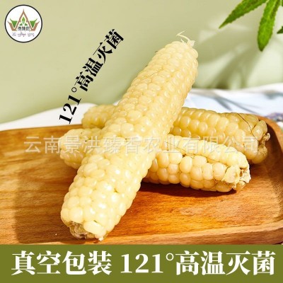 云南西双版纳拇指玉米即食香糯小手指白糯玉米新鲜现摘儿童玉米棒图2