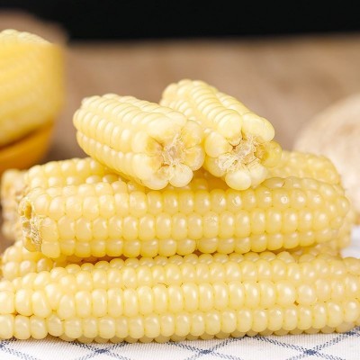 云南西双版纳拇指玉米即食香糯小手指白糯玉米新鲜现摘儿童玉米棒图4